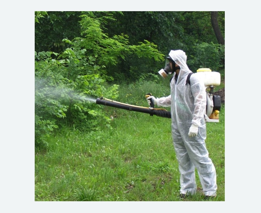 обработка территории от клещей в Алапаевске