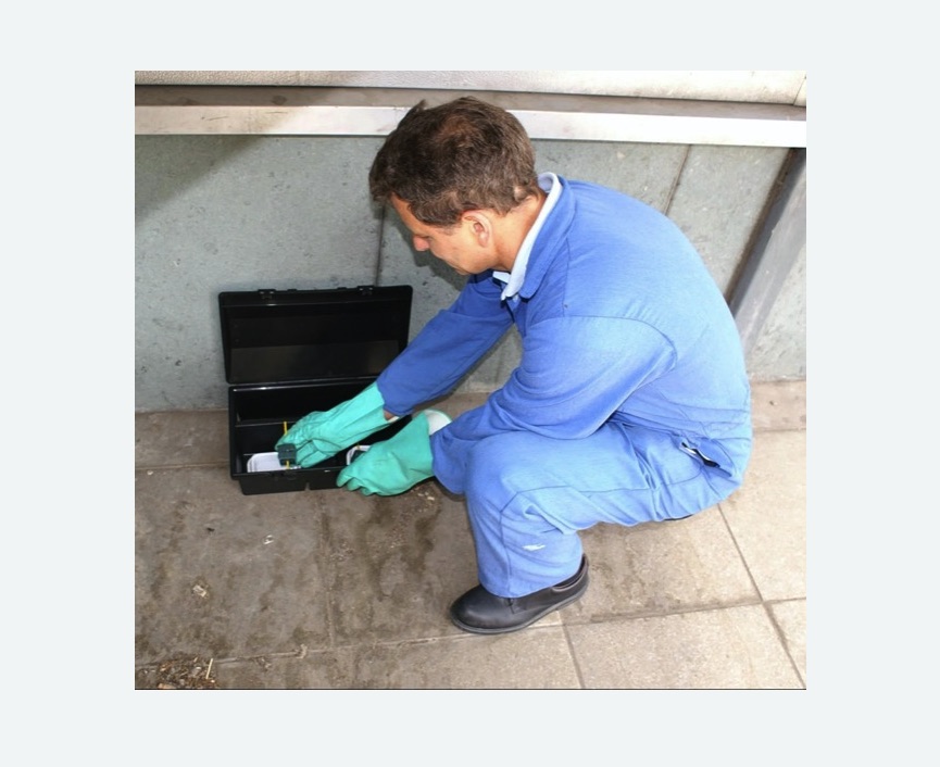 Дератизация помещения в Алапаевске Дератизация помещения