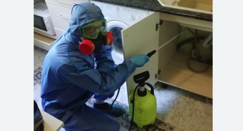 Уничтожение муравьев в квартире. Алапаевск