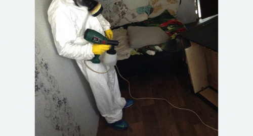 Обработка квартир от насекомых в Алапаевске