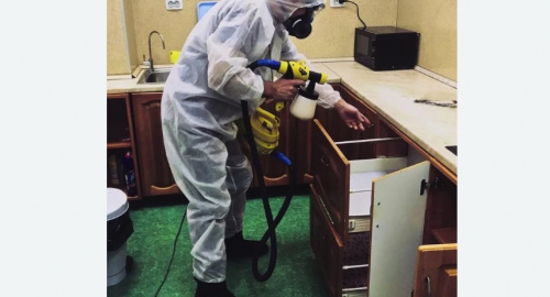 Дезинсекция квартиры. Алапаевск