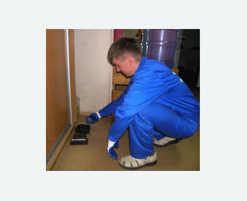 Дератизация крыс в Алапаевске