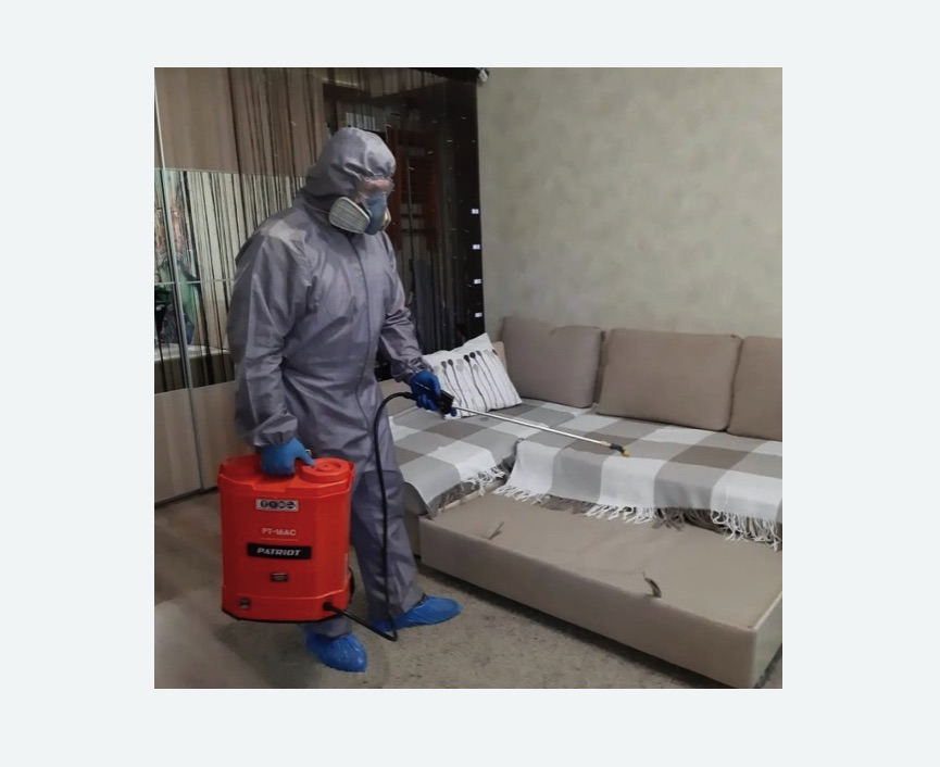 Обработка квартиры от блох в Алапаевске Обработка квартиры от блох