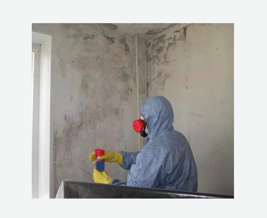 Удаление плесени в квартире в Алапаевске