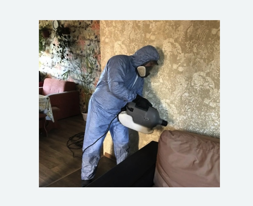 Уничтожение блох в квартире. Алапаевск Уничтожение блох в квартире