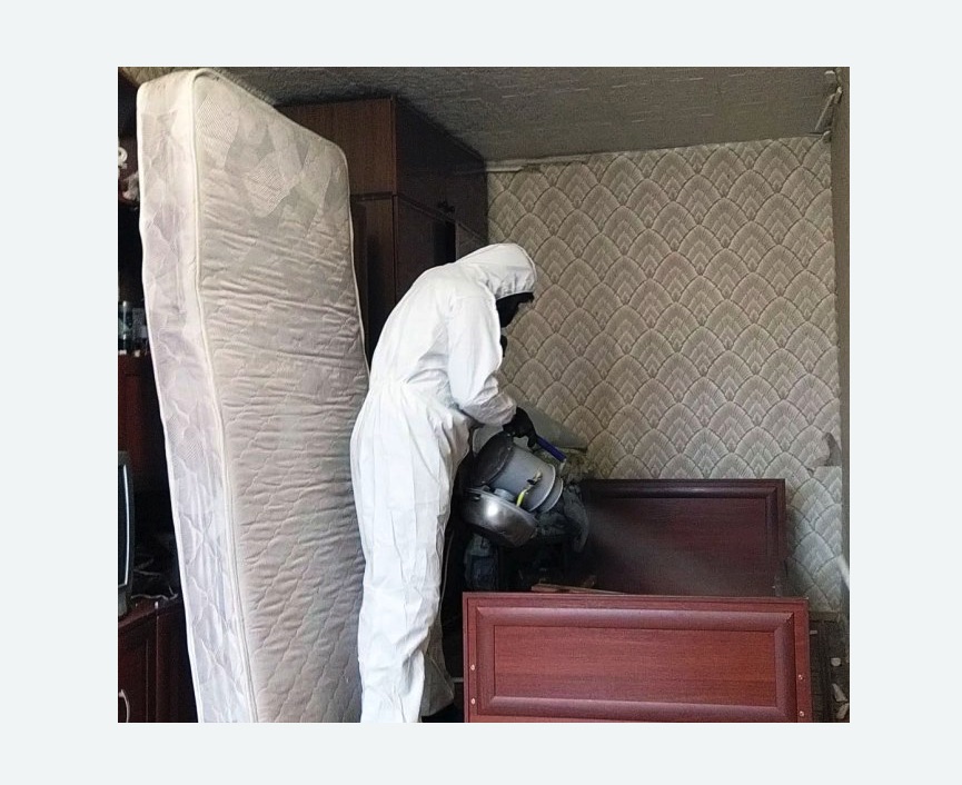 дезинфекция от клопов дезинфекция от клопов в Алапаевске