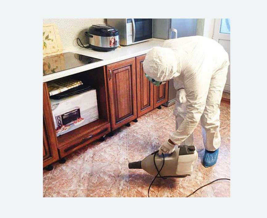 обработка квартиры от клопов в Алапаевске обработка квартиры от клопов