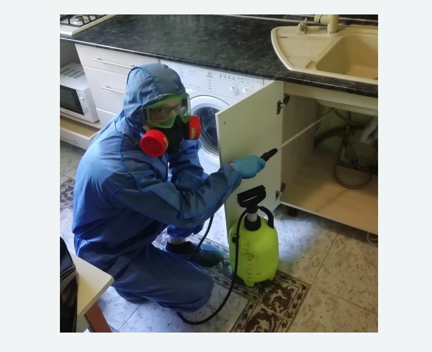 обработка от муравьев в квартире обработка от муравьев в квартире в Алапаевске