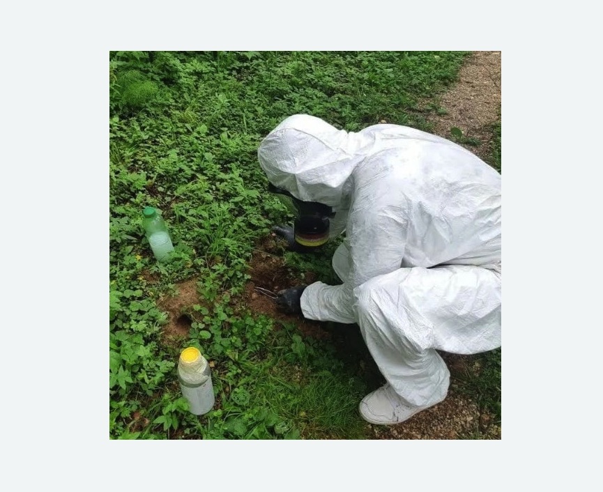 уничтожение кротов на участке уничтожение кротов на участке в Алапаевске