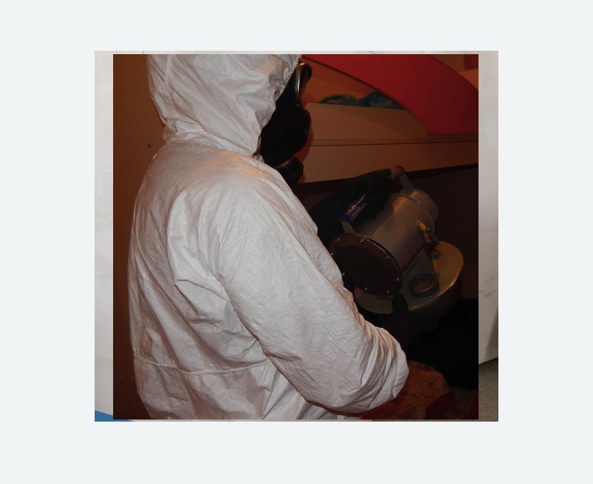 Дезинфекция от муравьев Дезинфекция от муравьев в Алапаевске